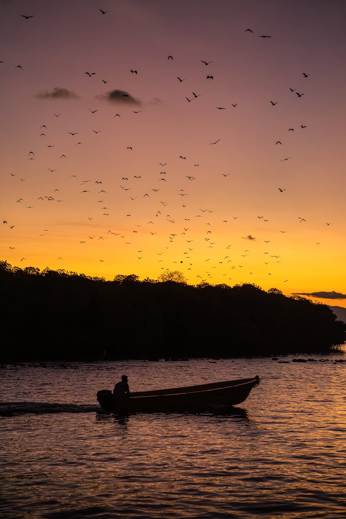 A boatman crossing the water beneath a flock of bats taking flight at sunset